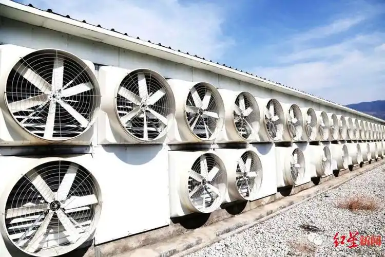 A modern Bitcoin mining farm showcasing multiple machines in operation