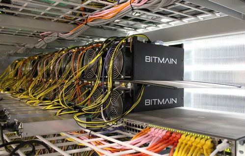 Large-scale mining farm hosting GPU rigs with optimized infrastructure