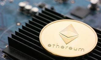 Advanced eco-friendly mining rigs operating within South Africa's solar-powered hosting farms