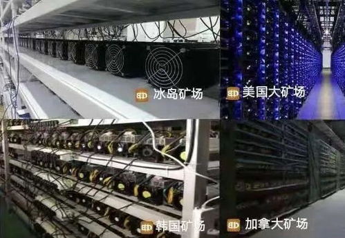 A versatile GPU mining rig ready for altcoins