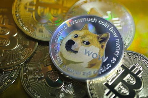 Dogecoin mining performance comparison